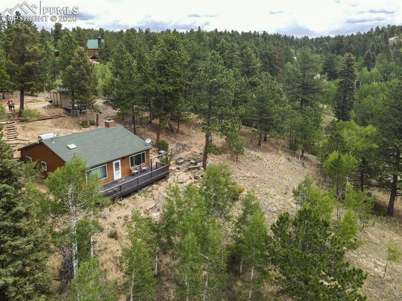 258 Spruce Creek Rd, Divide, CO 80814