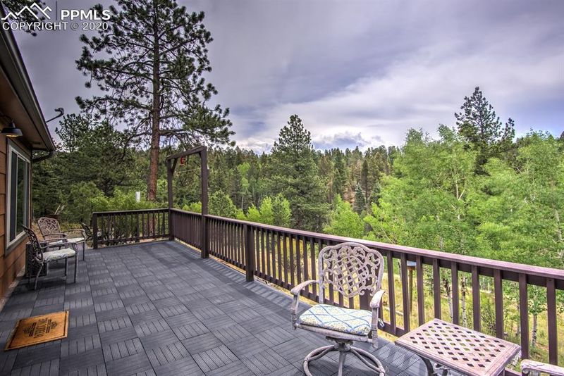 258 Spruce Creek Rd, Divide, CO 80814