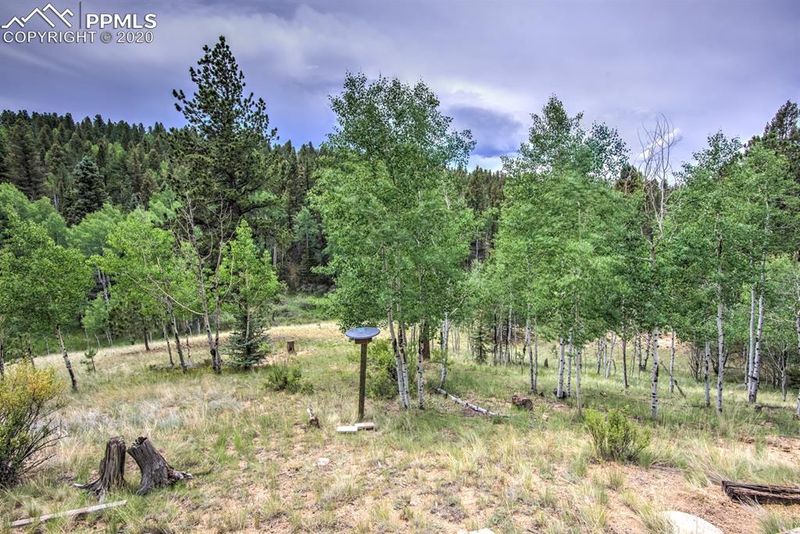 258 Spruce Creek Rd, Divide, CO 80814