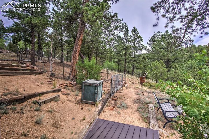 258 Spruce Creek Rd, Divide, CO 80814