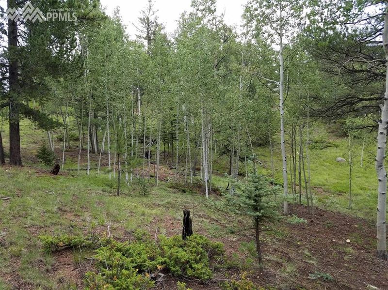 26 Mica Rd, Divide, CO 80814