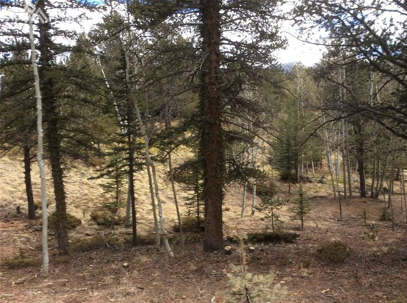 26 Mica Rd, Divide, CO 80814