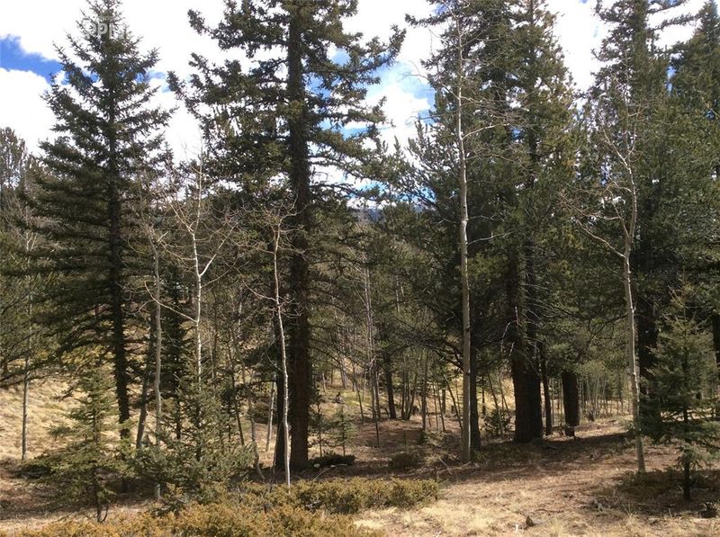 26 Mica Rd, Divide, CO 80814