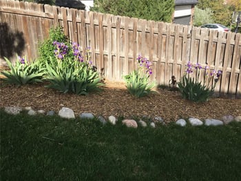 260 Haversham Dr, Colorado Springs, CO 80906