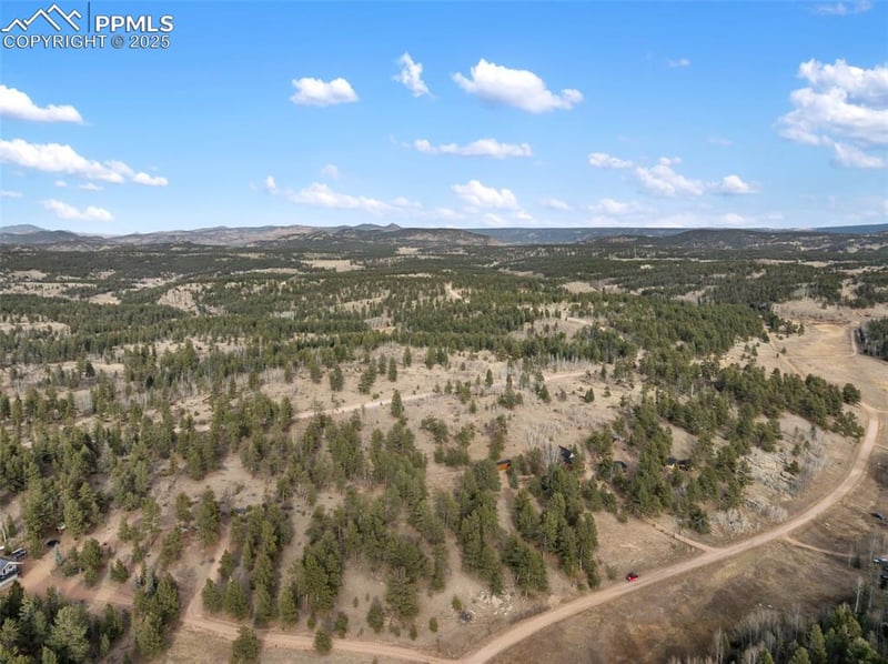 263 Valley Dr, Lake George, CO 80827