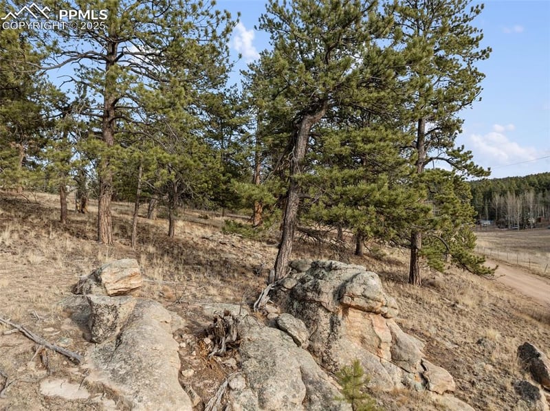 263 Valley Dr, Lake George, CO 80827