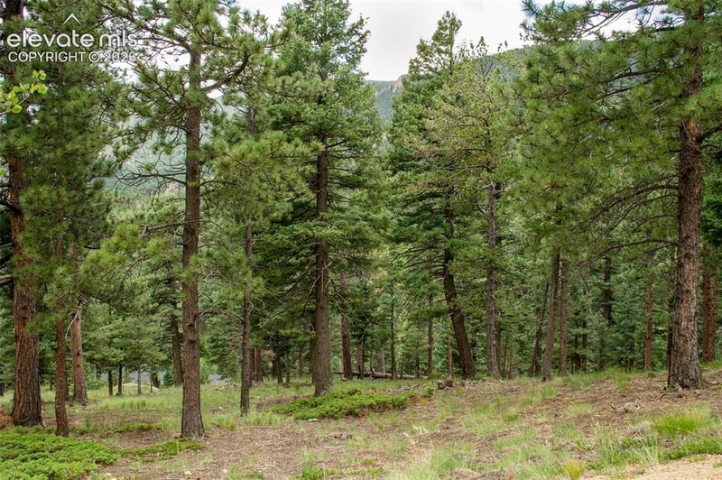 266 Aspen Ridge Rd, Manitou Springs, CO 80829