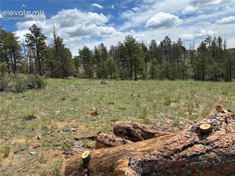 266 Chapparal Trl, Florissant, CO 80816