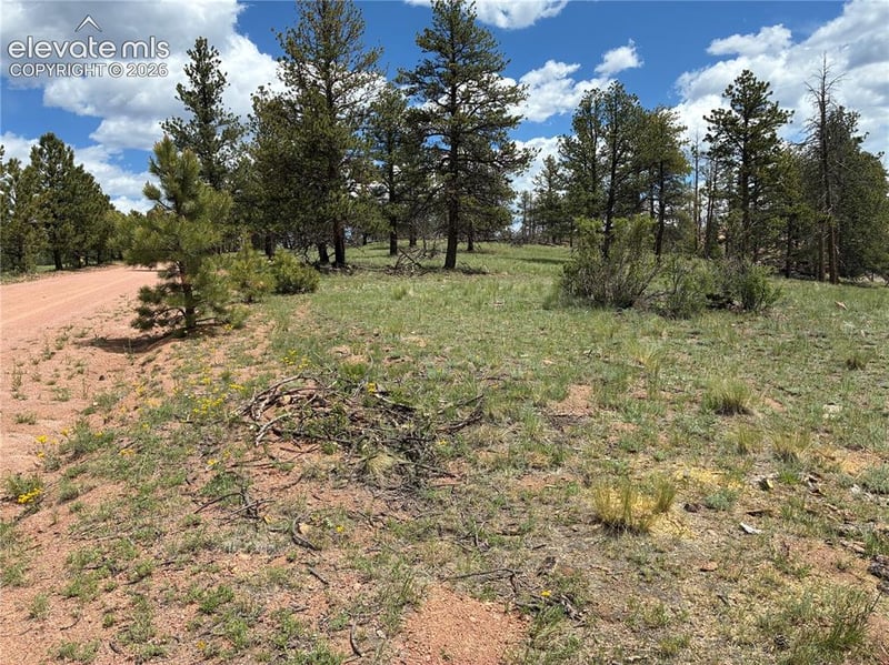 266 Chapparal Trl, Florissant, CO 80816
