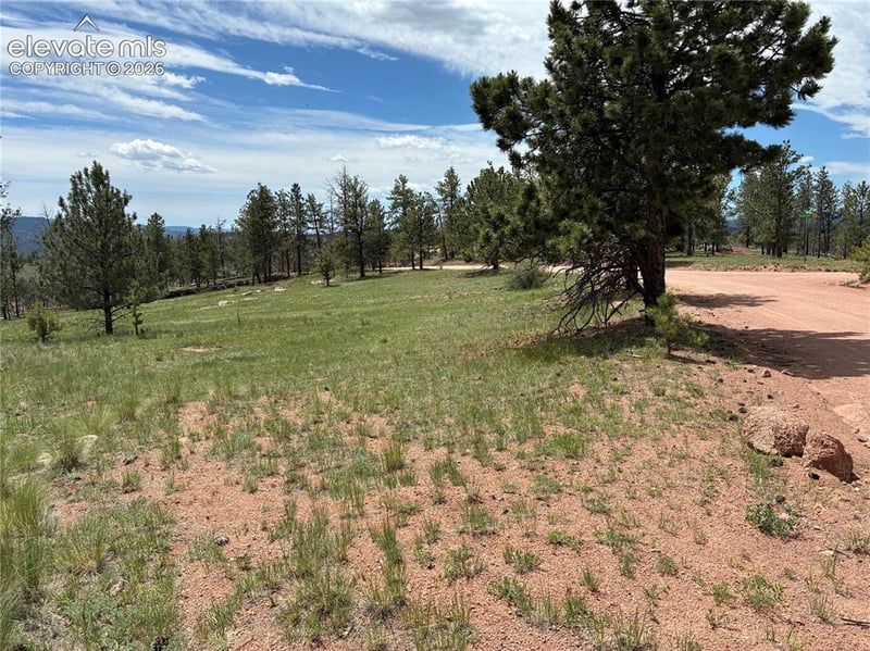 266 Chapparal Trl, Florissant, CO 80816