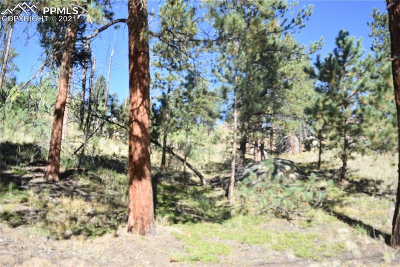 267 Overlook Cir, Sedalia, CO 80135