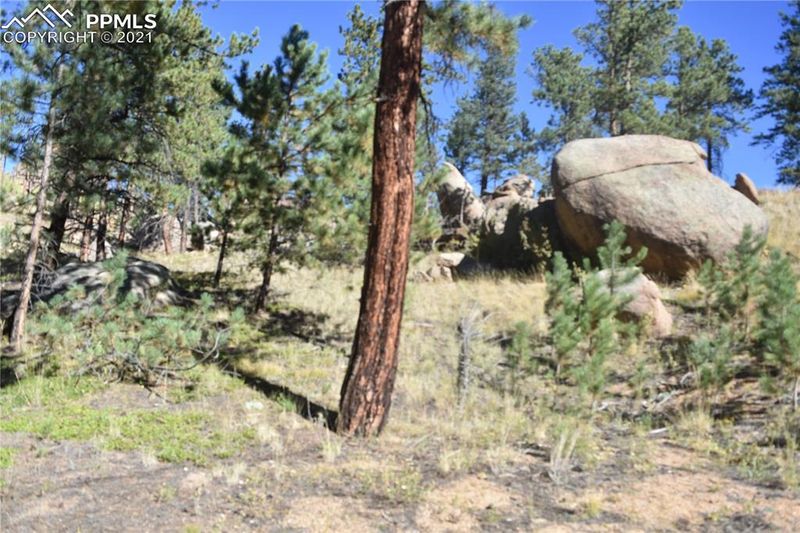 267 Overlook Cir, Sedalia, CO 80135
