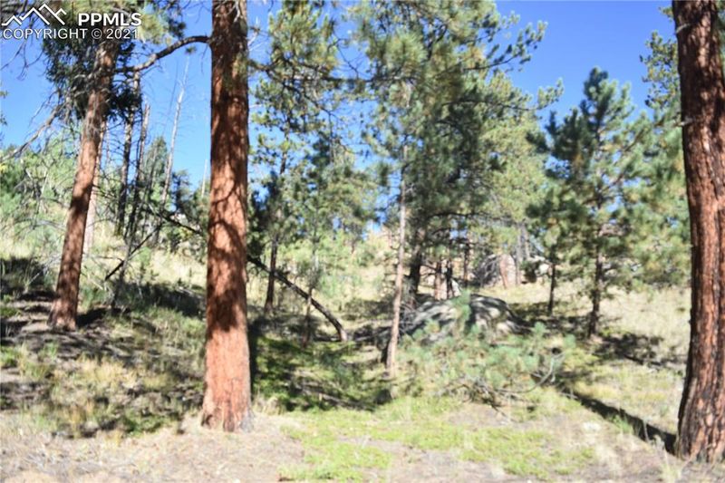 267 Overlook Cir, Sedalia, CO 80135