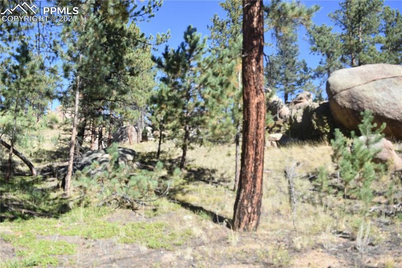 267 Overlook Cir, Sedalia, CO 80135