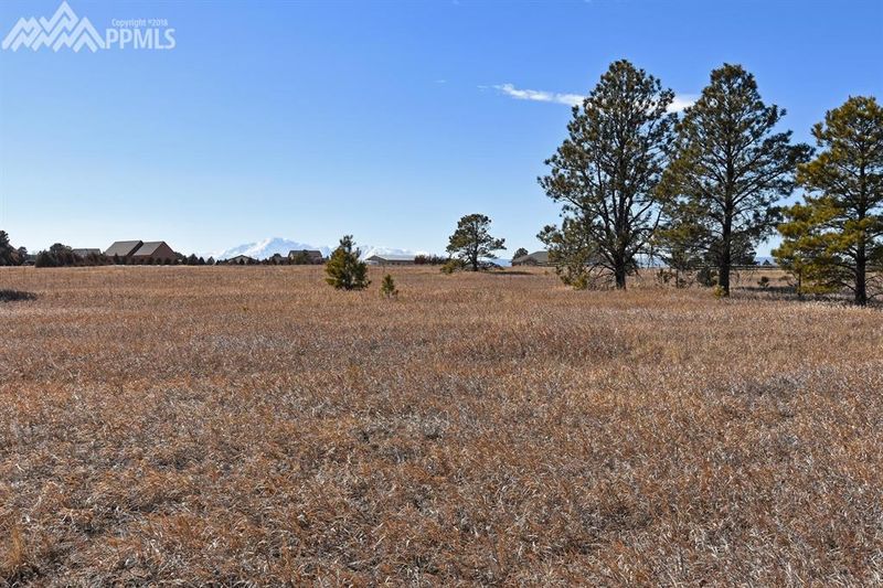 2685 E Highway 105, Monument, CO 80132