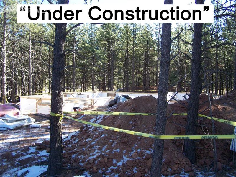269 Willow Rd, Divide, CO 80814