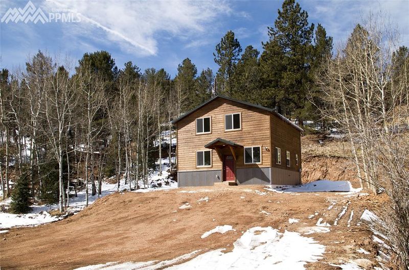 269 Willow Rd, Divide, CO 80814