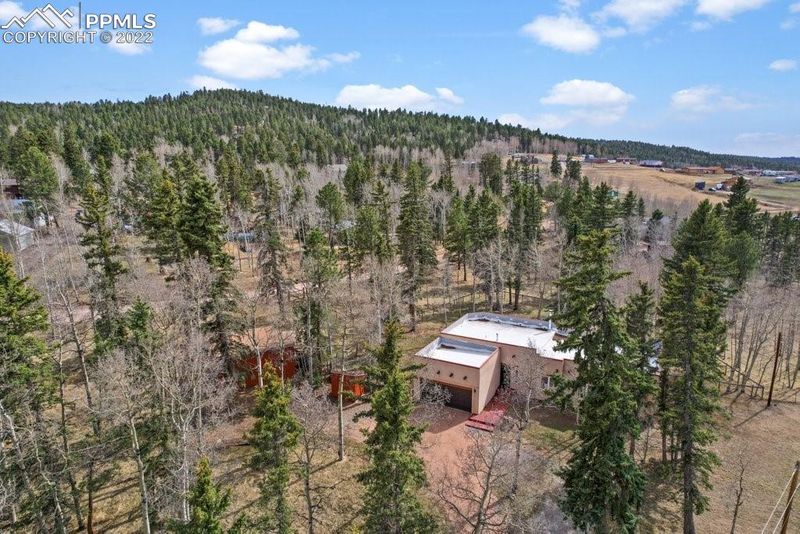 270 Elfin Glen Dr, Divide, CO 80814