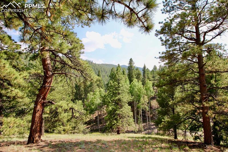 2700 Elk Ridge North, Divide, CO 80814