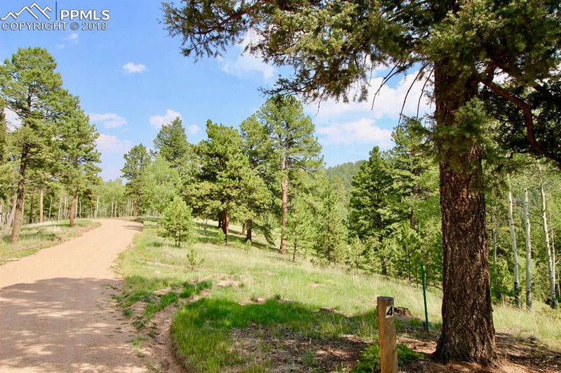 2700 Elk Ridge North, Divide, CO 80814