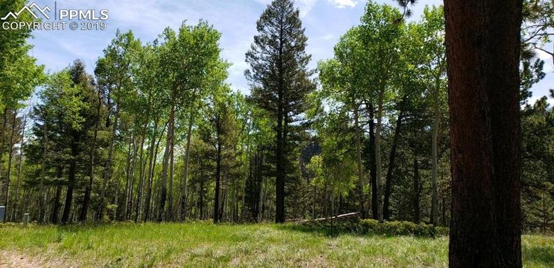 2700 N Elk Ridge Rd, Divide, CO 80814