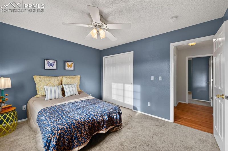 2730 Dristol Dr, Colorado Springs, CO 80920