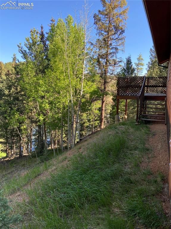 2758 Blue Mesa Dr, Divide, CO 80814