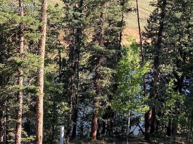 2758 Blue Mesa Dr, Divide, CO 80814