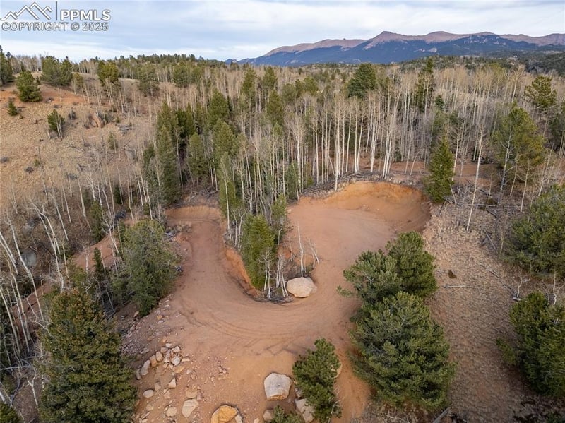 276 Granite Ln, Cripple Creek, CO 80813