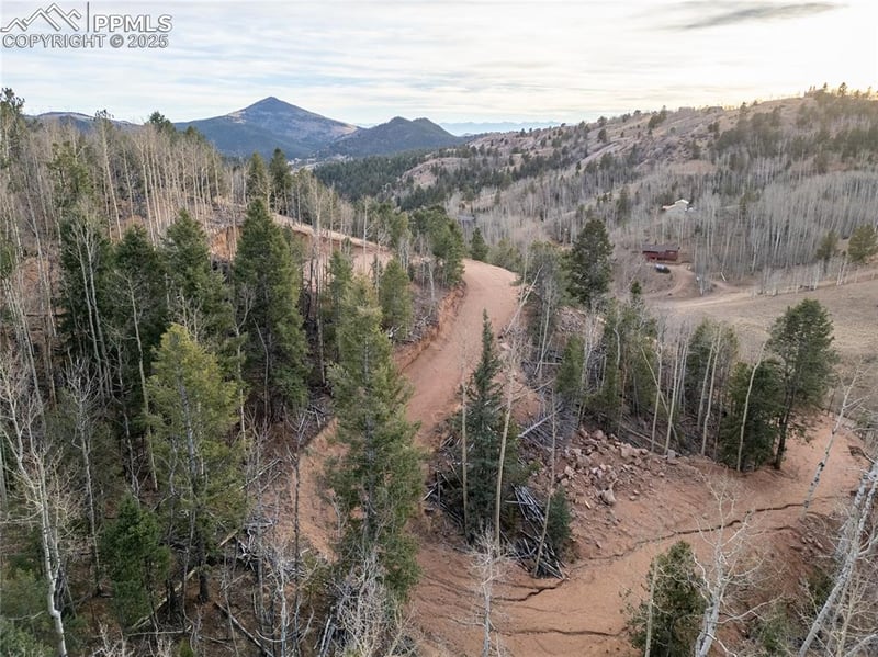 276 Granite Ln, Cripple Creek, CO 80813