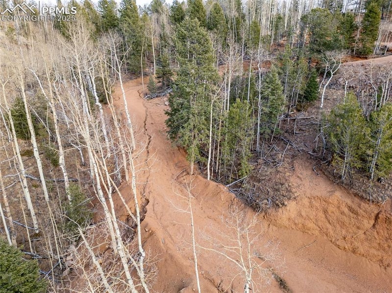276 Granite Ln, Cripple Creek, CO 80813