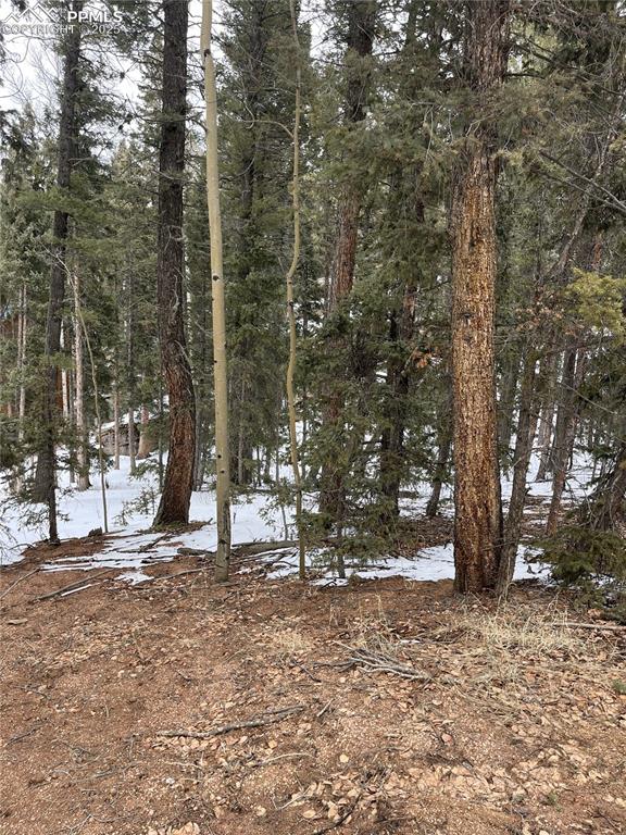 2763 Mountain Estates Rd, Florissant, CO 80816