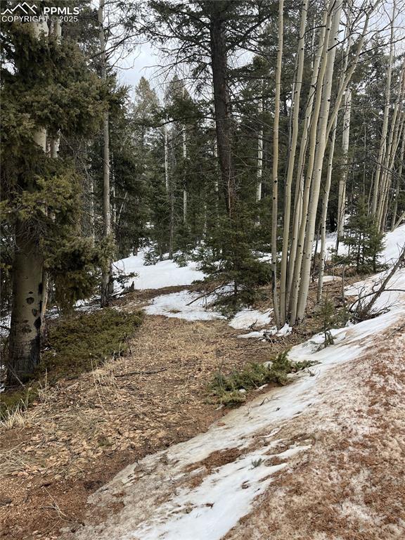 2763 Mountain Estates Rd, Florissant, CO 80816