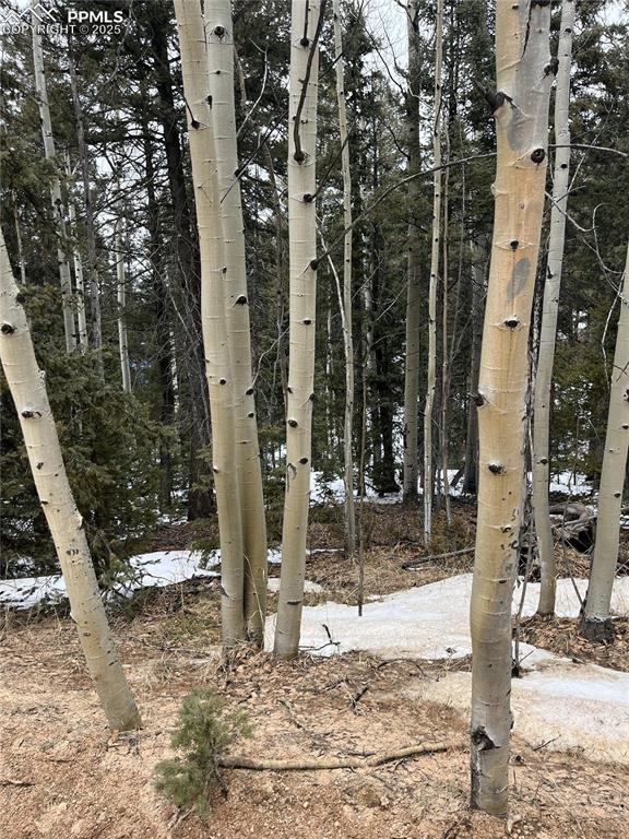 2763 Mountain Estates Rd, Florissant, CO 80816