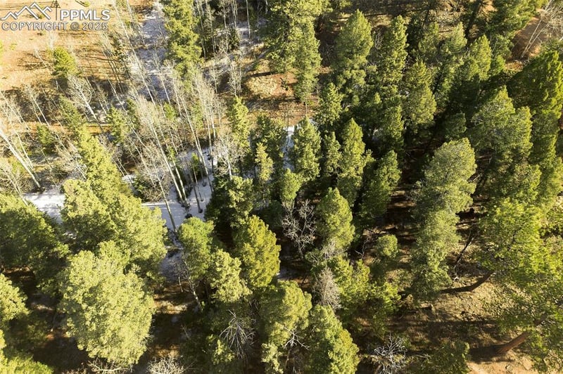 2763 Mountain Estates Rd, Florissant, CO 80816