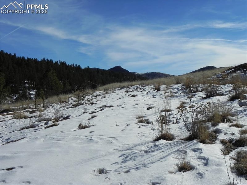 277 Gold King Dr, Cripple Creek, CO 80813