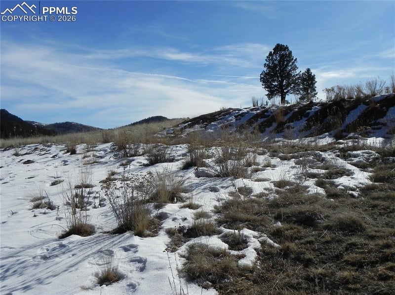277 Gold King Dr, Cripple Creek, CO 80813