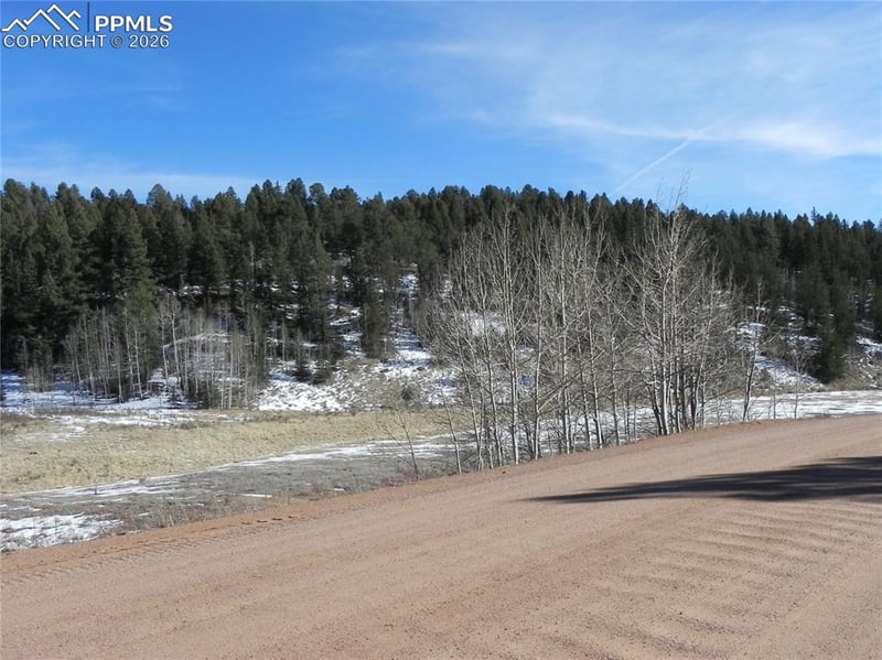277 Gold King Dr, Cripple Creek, CO 80813