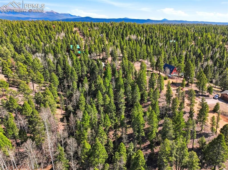 278 Cherry Lake Dr, Divide, CO 80814