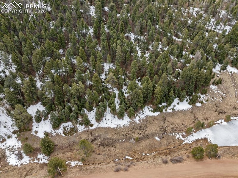 278 Penrose Cir, Cripple Creek, CO 80813