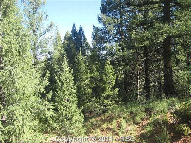 28 Feldspar Rd, Divide, CO 80816