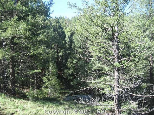 28 Feldspar Rd, Divide, CO 80816