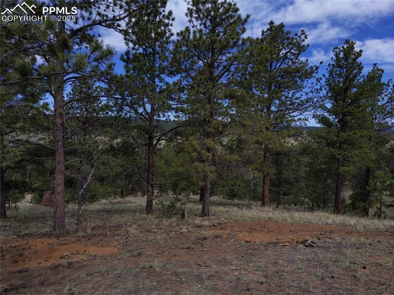 28 Pinnacle Cir, Florissant, CO 80816