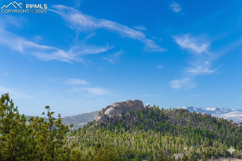 28 Pinnacle Cir, Florissant, CO 80816