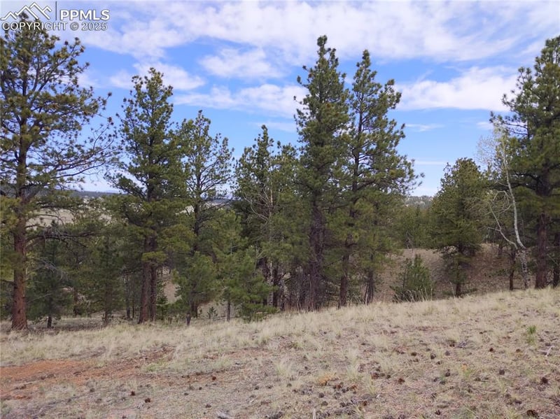 28 Pinnacle Cir, Florissant, CO 80816