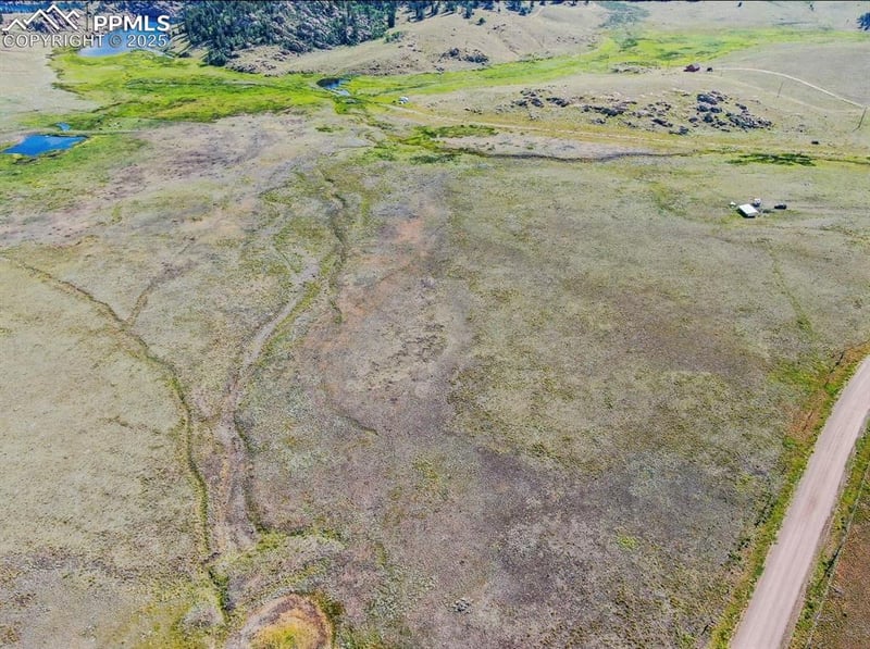 281 County Road 98, Florissant, CO 80816