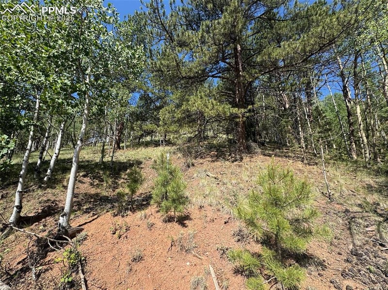 281 Pikes Peak Dr, Divide, CO 80814