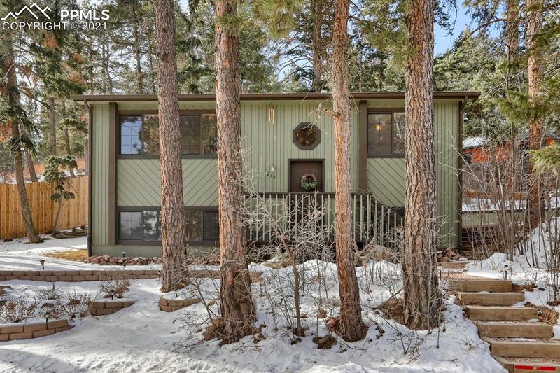 285 Brook Ridge Ave, Palmer Lake, CO 80133