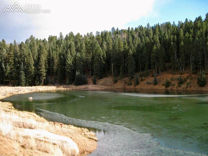2856 Blue Mesa Dr, Divide, CO 80814