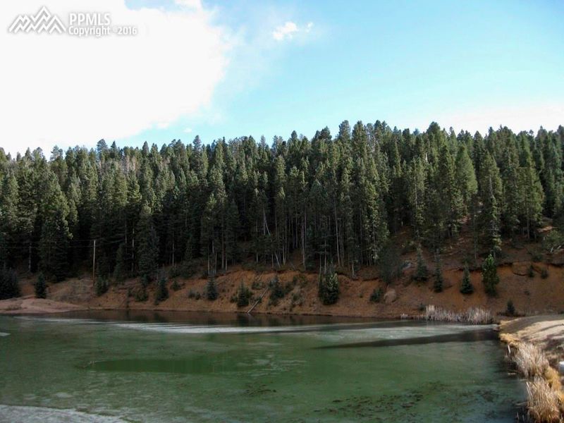 2856 Blue Mesa Dr, Divide, CO 80814